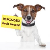 reminder-book-groom